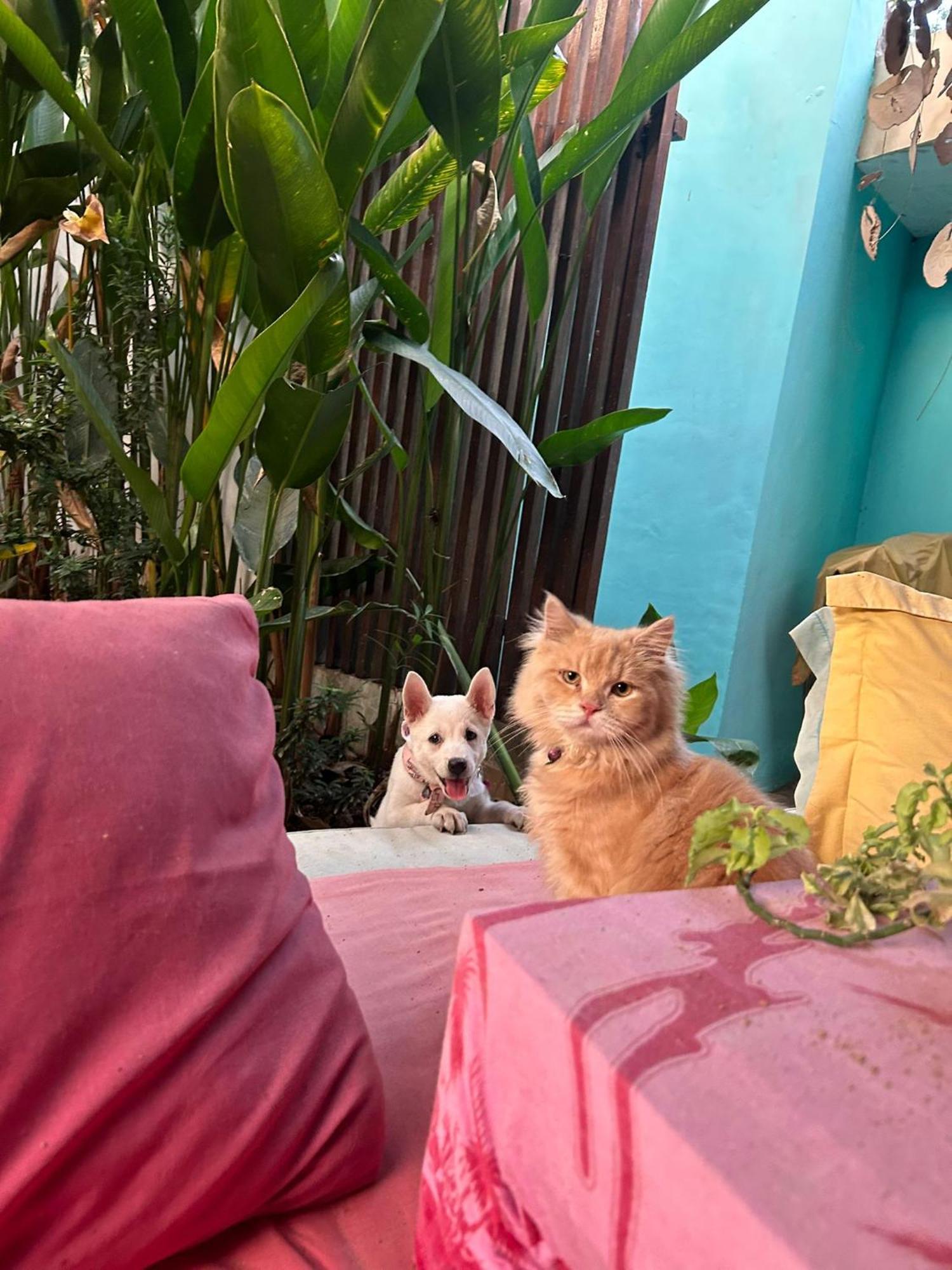 Shalana Homestay- Formerly Teka Teki House Seminyak  Ngoại thất bức ảnh
