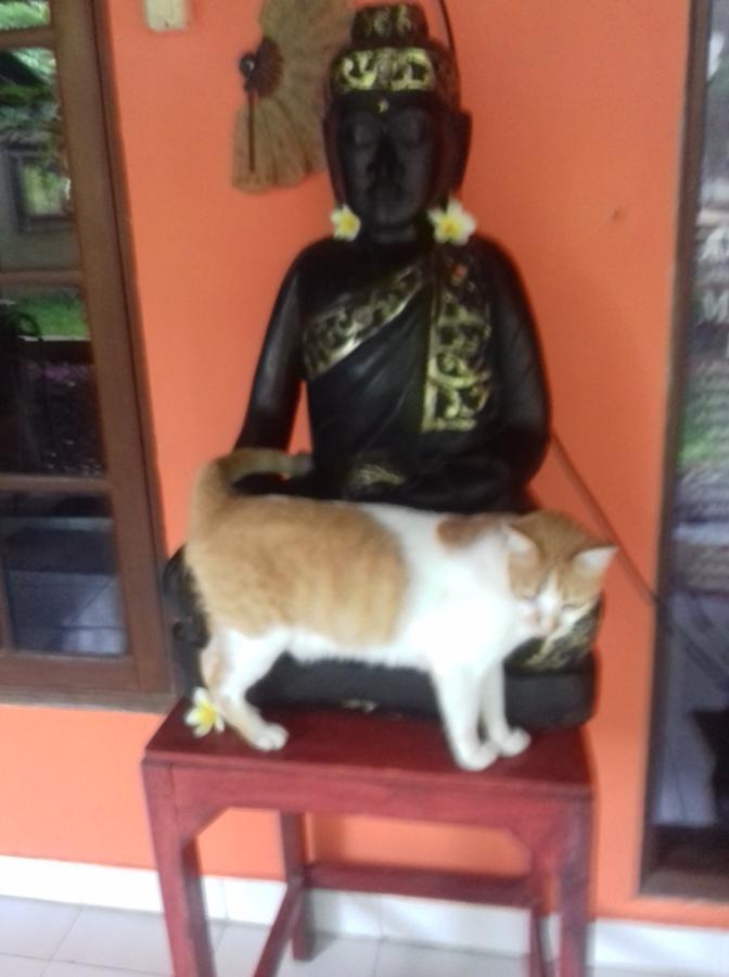 Shalana Homestay- Formerly Teka Teki House Seminyak  Ngoại thất bức ảnh